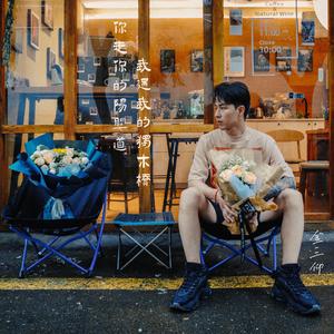 欧美日韩中文字幕在线手机版本
